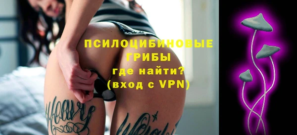 стаф Алексеевка