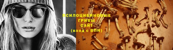 стаф Алексеевка