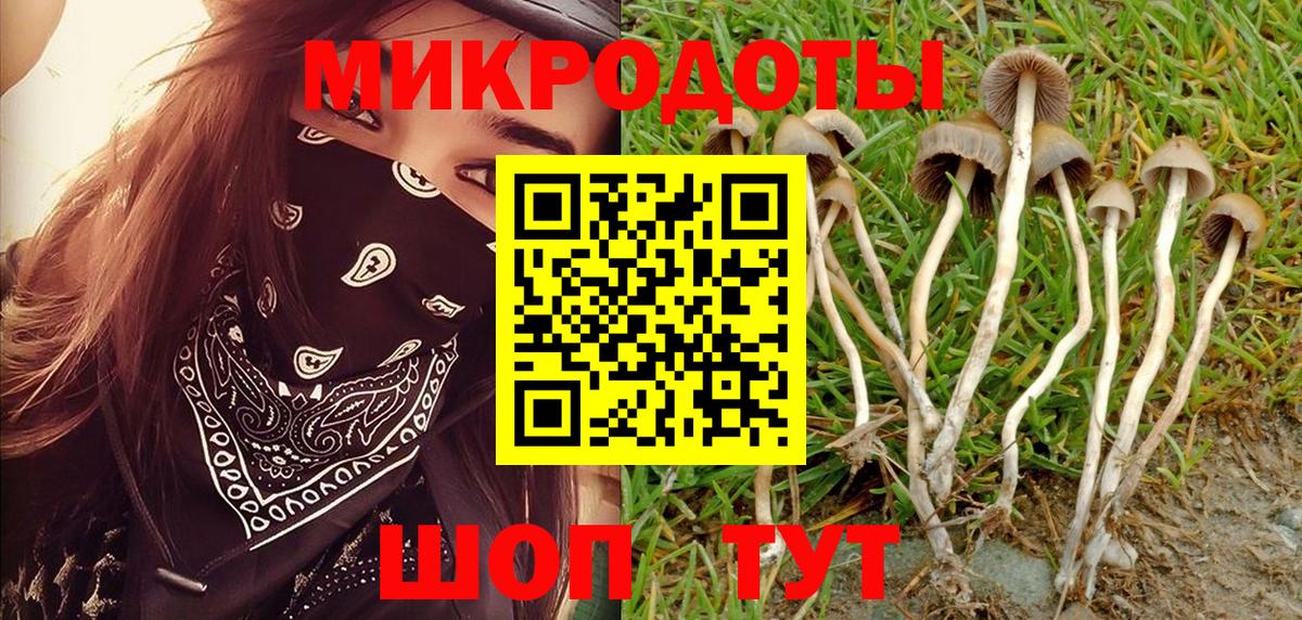 Галлюциногенные грибы Cubensis Протвино