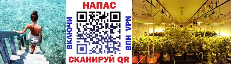 Каннабис THC 21%  Протвино 